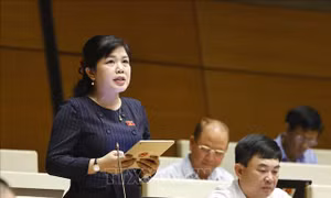 Thiết lập tiêu chuẩn quốc gia cho việc thu gom, vận chuyển và xử lý rác thải công nghệ
