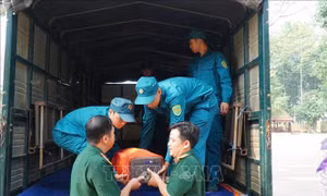 Bình Phước: Phát hiện và cất bốc 25 hài cốt liệt sỹ