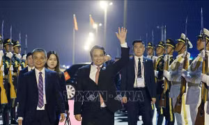 Thủ tướng Phạm Minh Chính về tới Hà Nội, kết thúc tốt đẹp chuyến công tác dự Hội nghị thượng đỉnh SCO và làm việc tại Trung Quốc