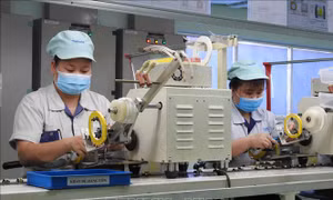 Xác nhận cho 37.598 lao động của 207 doanh nghiệp được vay vốn trả lương phục hồi sản xuất