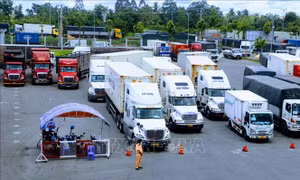 Không phát sinh thủ tục làm khó vận chuyển hàng hóa