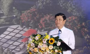 Nghị quyết chỉ định Chủ tịch, Phó Chủ tịch Hội đồng nhân dân các tỉnh, thành phố