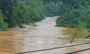 Quảng Ngãi: Hai vợ chồng bị nước cuốn trôi tại cầu tràn Thạch Nham