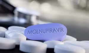 Bộ Y tế cấp phép 3 loại thuốc chứa Molnupiravir sản xuất trong nước