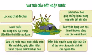 Đất ngập nước và tri thức truyền thống: Tôn vinh di sản văn hóa