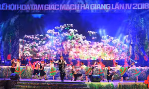 Khai mạc Lễ hội hoa tam giác mạch trên Cao nguyên đá Đồng Văn