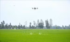 FAO đánh giá cao tiến bộ của Việt Nam trong phát triển nông nghiệp bền vững