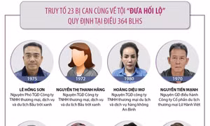 Vụ án xảy ra tại Bộ Ngoại giao, Hà Nội và các tỉnh, thành phố: Đề nghị truy tố 54 bị can (Phần 2)
