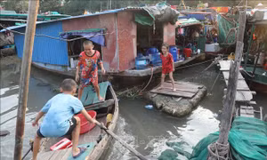 Di dời làng chài giữa lòng TP Hải Phòng trong tháng 11