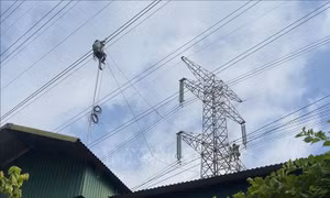 Hỗ trợ thi công đường dây 220kV Nhiệt điện Hải Dương - Trạm 500kV Phố Nối