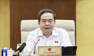 UBTV Quốc hội cho ý kiến về công tác phòng, chống tội phạm và vi phạm pháp luật