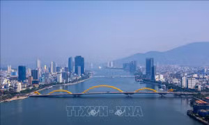 Những nhịp cầu thời gian bắc qua sông Hàn