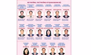 Phê chuẩn 17 Bộ trưởng, trưởng ngành nhiệm kỳ 2026-2031