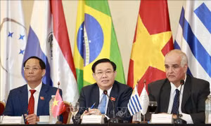 Chủ tịch Quốc hội Vương Đình Huệ hội đàm với lãnh đạo Nghị viện MERCOSUR