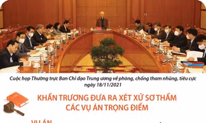 Khẩn trương đưa ra xét xử sơ thẩm các vụ án trọng điểm