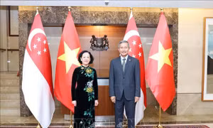 Trưởng Ban Tổ chức Trung ương Trương Thị Mai thăm, làm việc tại Singapore