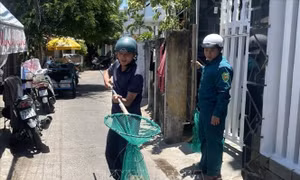 Mạnh tay xử lý nhằm ngăn ngừa tình trạng chó dại cắn người