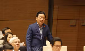 Đại biểu Quốc hội 'truy' giải pháp tình trạng ô nhiễm môi trường nghiêm trọng kéo dài