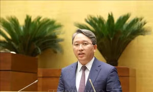 Đẩy mạnh ứng dụng công nghệ thông tin trong tương trợ tư pháp về dân sự