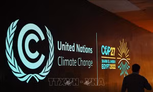 COP27: LHQ công bố khởi động Sáng kiến thị trường carbon châu Phi