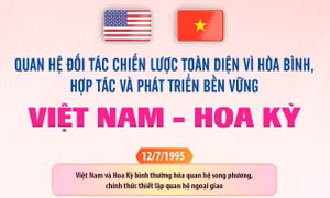 Quan hệ Đối tác chiến lược toàn diện vì hòa bình, hợp tác và phát triển bền vững Việt Nam - Hoa Kỳ