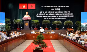 Né trách nhiệm 'bào mòn' tăng trưởng - Bài cuối: Khắc trị 'tư duy phòng thủ'