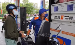 Hoàn thiện quy chuẩn kỹ thuật, thúc đẩy triển khai xăng sinh học E10 trên toàn quốc