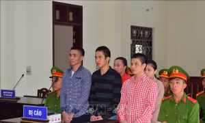 Năm bị cáo chuyên cung cấp lẻ ma túy cho con nghiện lĩnh án 65 năm tù