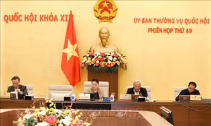 Tiếp tục rà soát, đánh giá toàn diện các nội dung được nhân dân, cử tri quan tâm