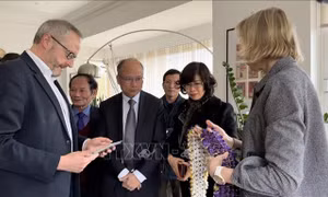50 năm ngày ký Hiệp định Paris: Dấu ấn sâu đậm trong lòng bạn bè quốc tế