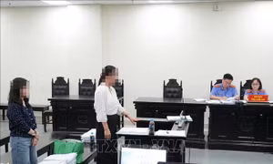 Phúc thẩm vụ cựu Hiệu trưởng Trường THCS Ba Đình: Sai phạm trong việc thu, chi tiền