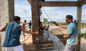 Mở cống, xả lũ để đón phù sa vào đồng ruộng