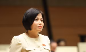 Phối hợp, hành động kịp thời khi phát hiện các vụ việc liên quan đến ma túy xuyên quốc gia