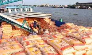 Bộ trưởng Lê Minh Hoan: Nắm bắt cơ hội đẩy mạnh xuất khẩu gạo