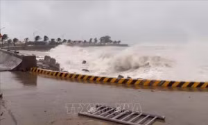 Từ Quảng Ninh đến An Giang chủ động ứng phó với gió mạnh và bão NOUL