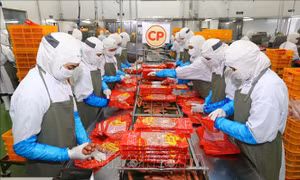 Ưu tiên chọn lọc dòng vốn FDI xanh - Bài cuối: Nông nghiệp - điểm hẹn chiến lược