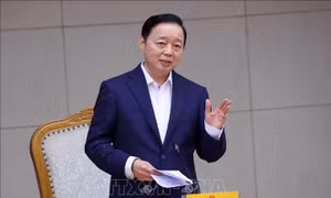 Hoàn thiện chính sách đầu tư, bảo hiểm và chuyển đổi nghề trong lĩnh vực thủy sản