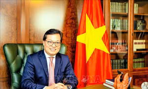 Quốc tế đánh giá cao vai trò của Việt Nam trên cương vị Chủ tịch ĐHĐ WIPO