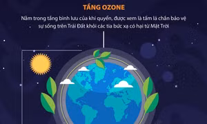 Hợp tác toàn cầu bảo vệ sự sống trên Trái Đất