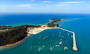 Đặc khu Cô Tô miễn phí tàu ra vào đảo ngày 29 Tết