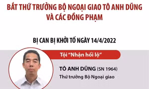 Bắt Thứ trưởng Bộ Ngoại giao Tô Anh Dũng và các đồng phạm