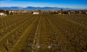 Vùng đồi nho Prosecco của Italy và cung điện Khan của Azerbaijan được công nhận là Di sản thế giới
