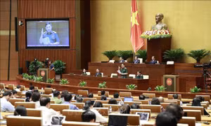 Chủ động nguồn lực ứng phó với thảm họa, sự cố từ sớm, từ xa