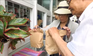 'Nói không' với rác thải nhựa - Bài 3: Khi bệnh viện giảm dần rác thải nhựa