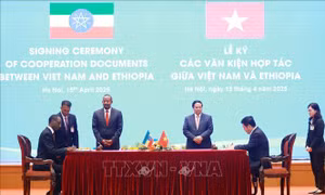 Thúc đẩy hợp tác Việt Nam - Ethiopia tương xứng tiềm năng quy mô thị trường 230 triệu dân