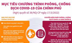 Mục tiêu chương trình phòng, chống dịch COVID-19 của Chính phủ