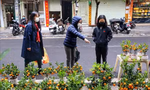 Chợ hoa Hàng Lược ngày đầu hoạt động