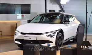 Kinh tế tư nhân trước cơ hội bứt phá mới - Bài cuối: Kinh nghiệm phát triển kinh tế tư nhân ở các nước