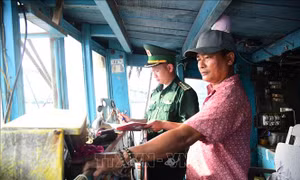 Phát hiện tàu vận chuyển 20.000 lít dầu DO không có giấy tờ hợp pháp