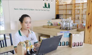 Thương mại điện tử: Đường băng mới của xuất khẩu số Việt Nam